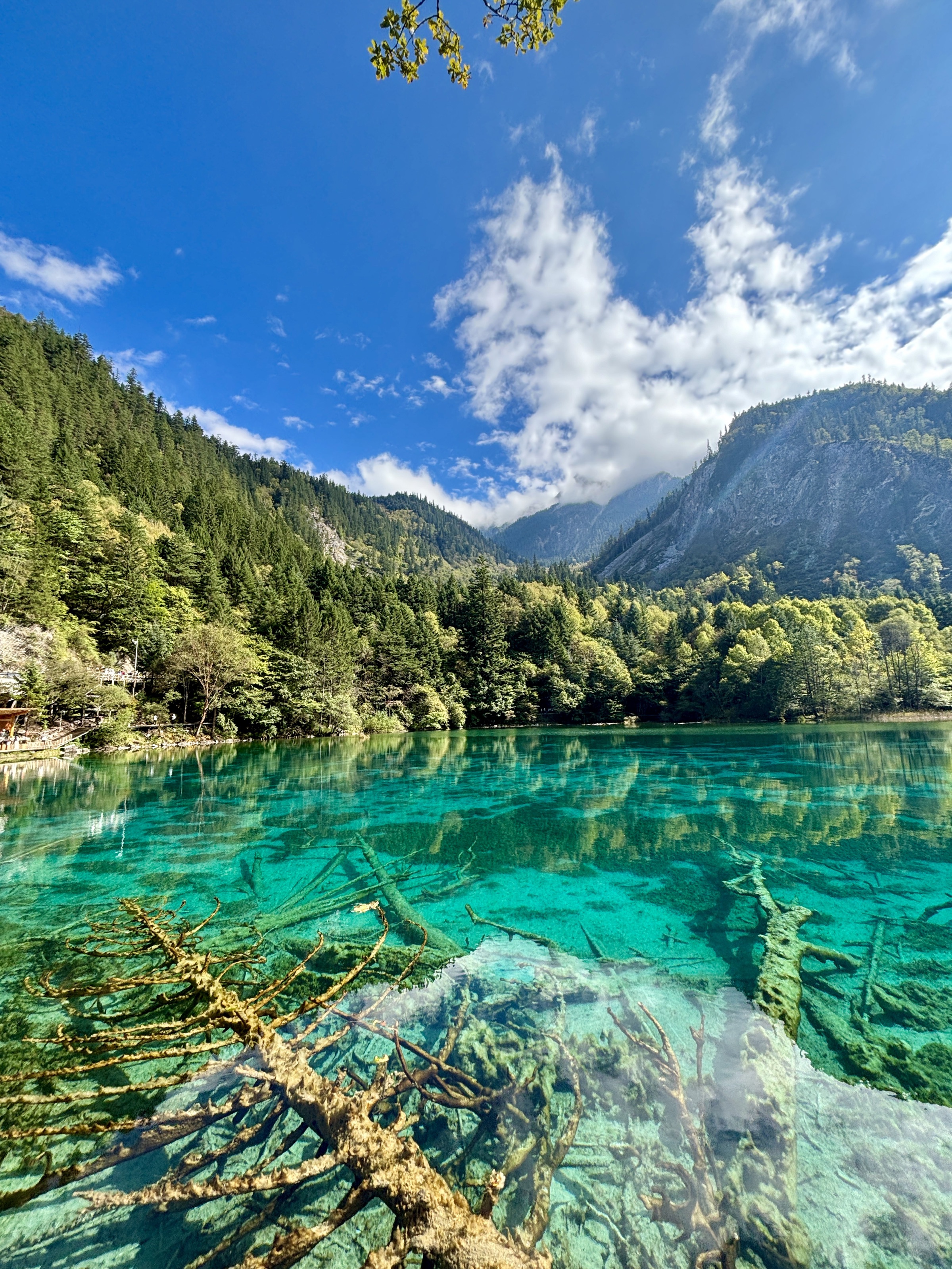 跋山涉水去见你，心之所向九寨沟