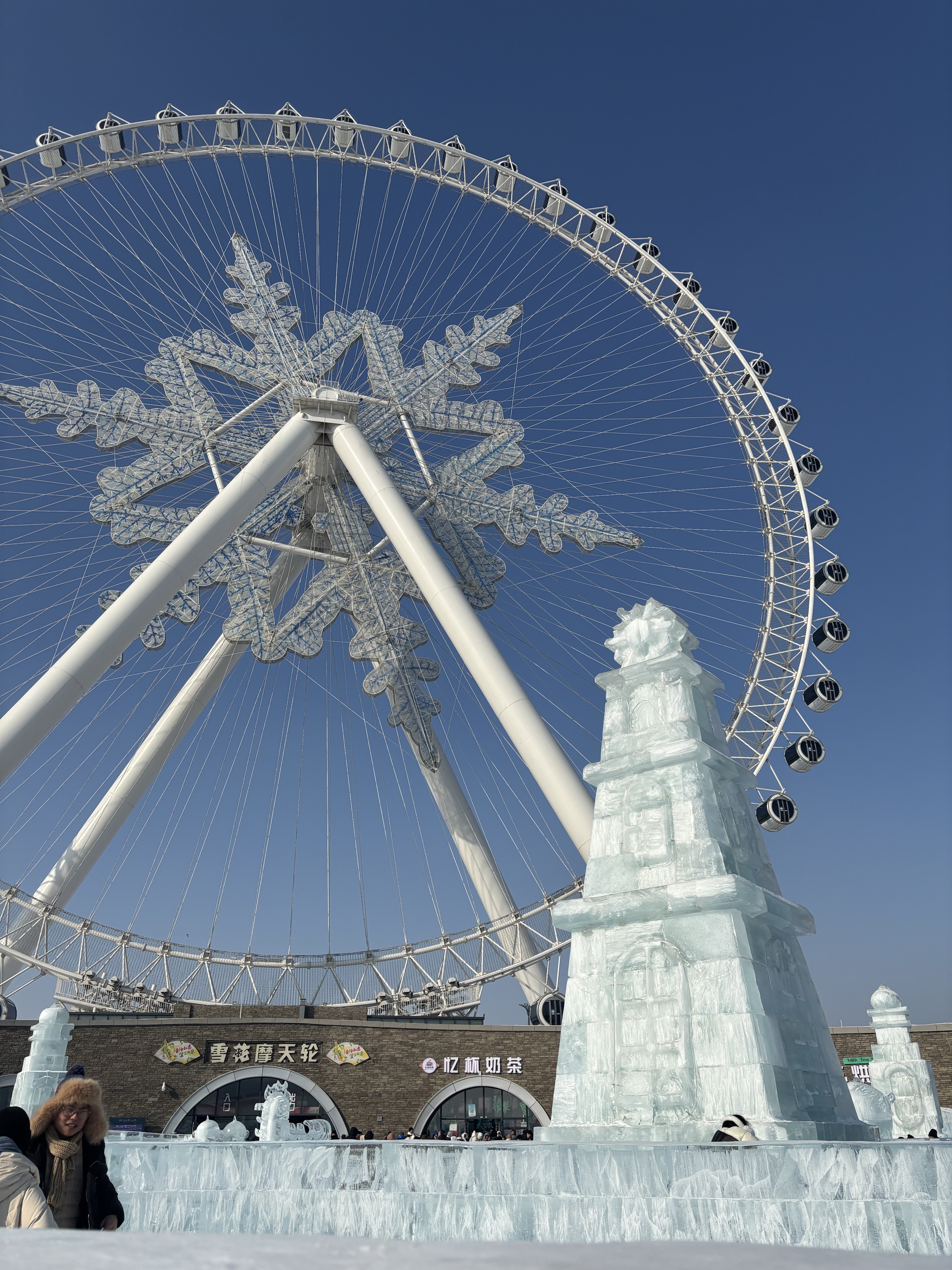 北方小土豆勇闯大东北