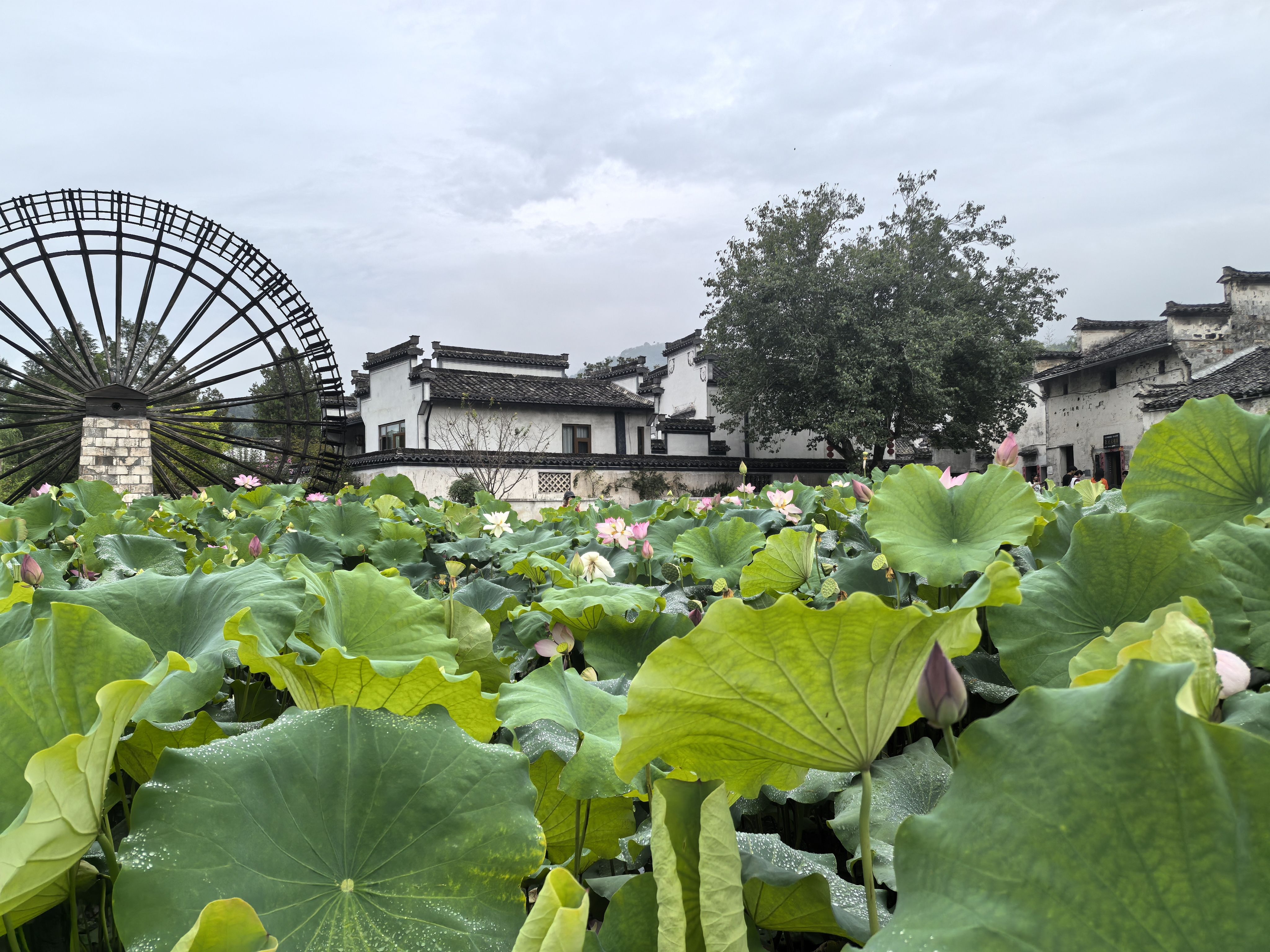 书画徽州探索千年古韵