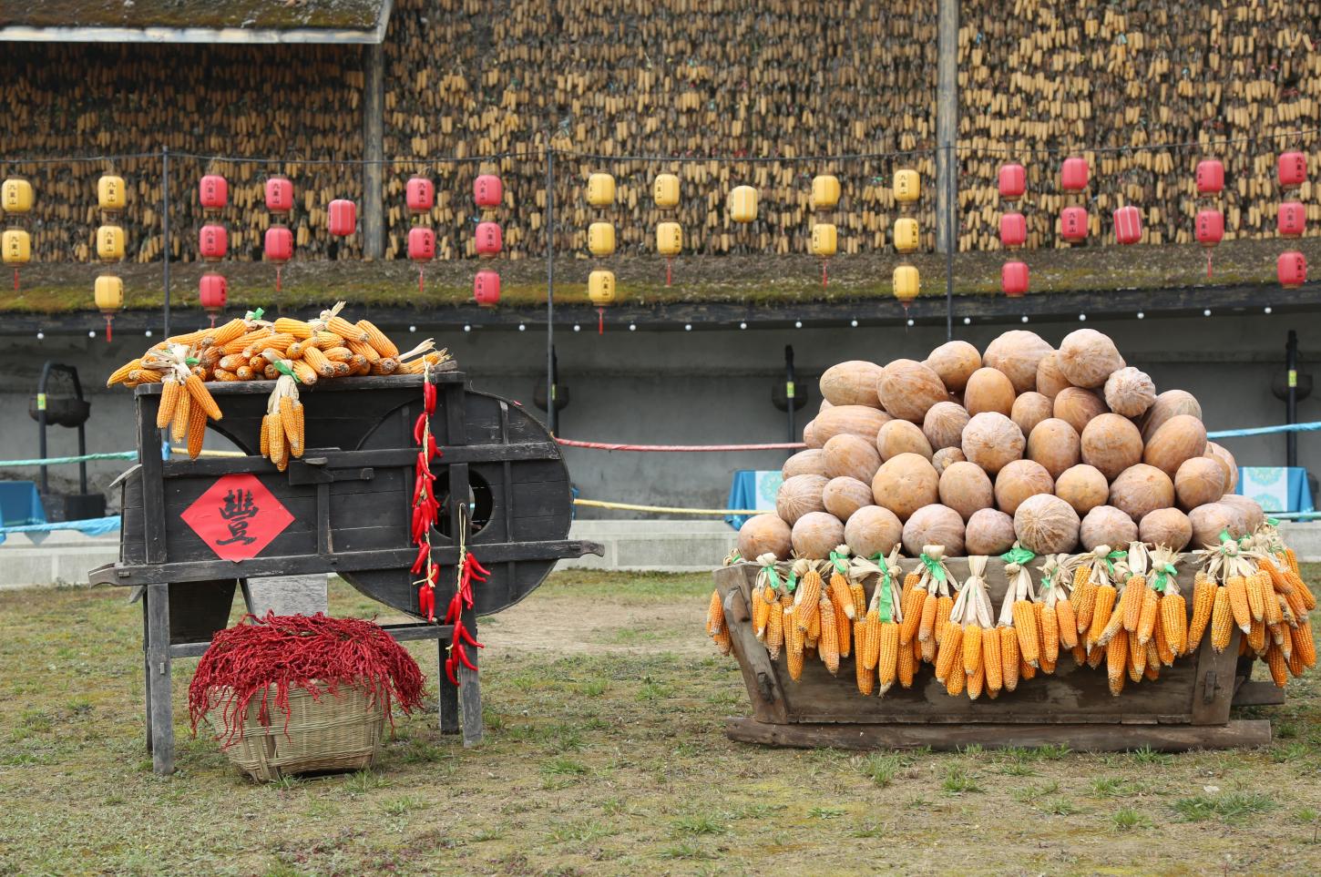 暖冬吃刨汤，今年冬天的幸福就在这座山里
