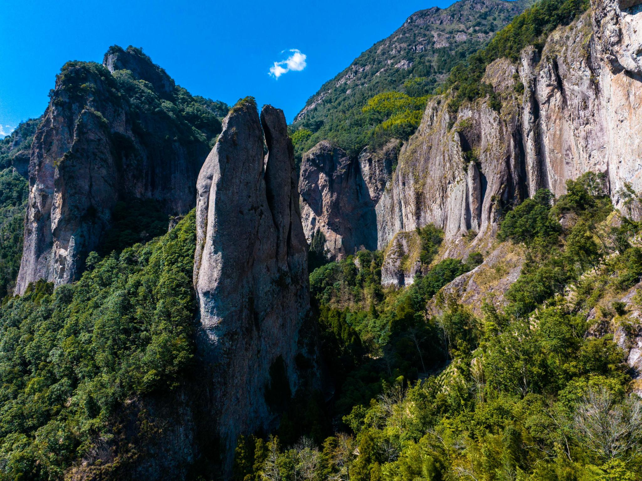 阳春三月，来雁荡山上春山