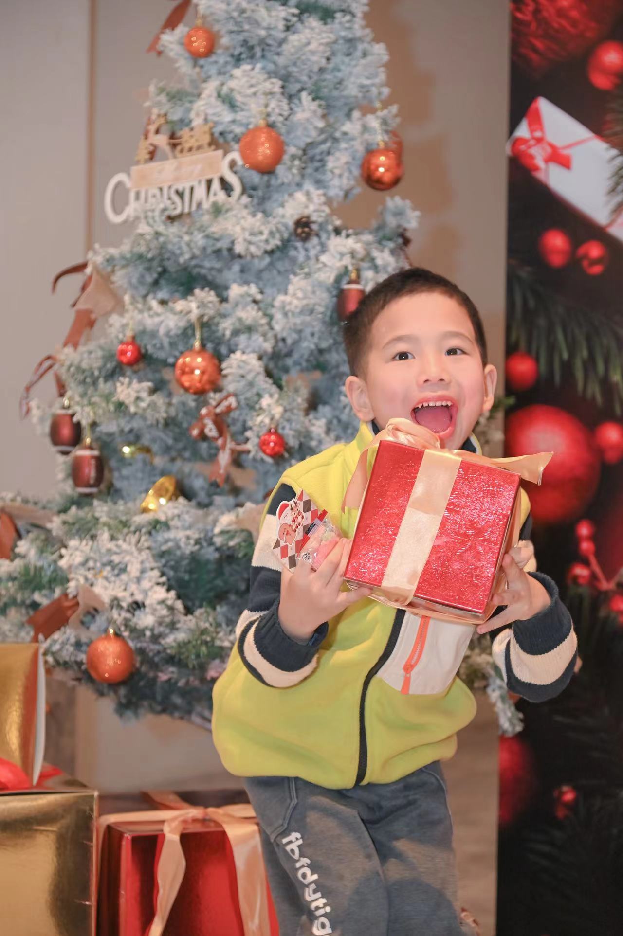 重庆| 雅诗阁重庆地区圣诞家宴