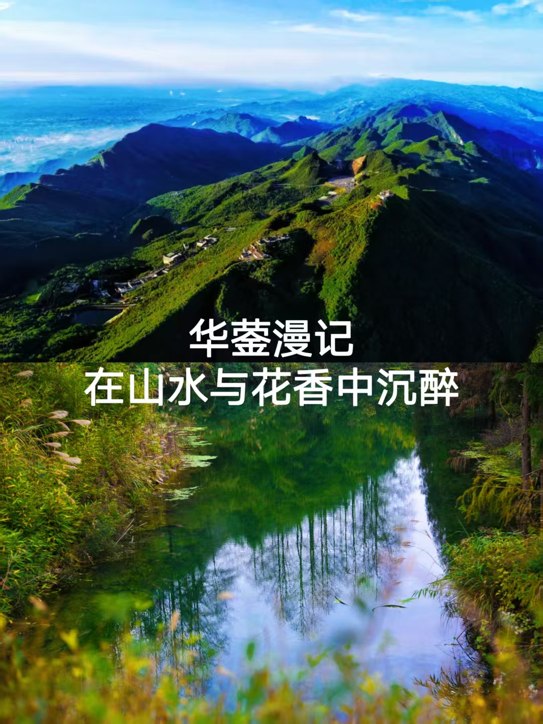 华蓥山漫记 在山水与花香中沉醉