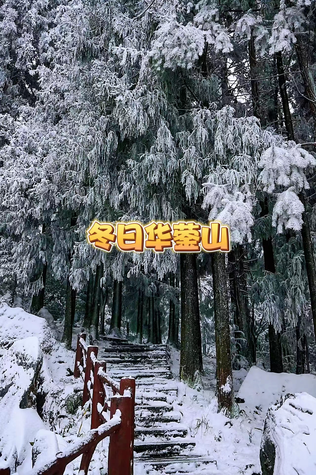 漫天飞雪下的华蓥山！