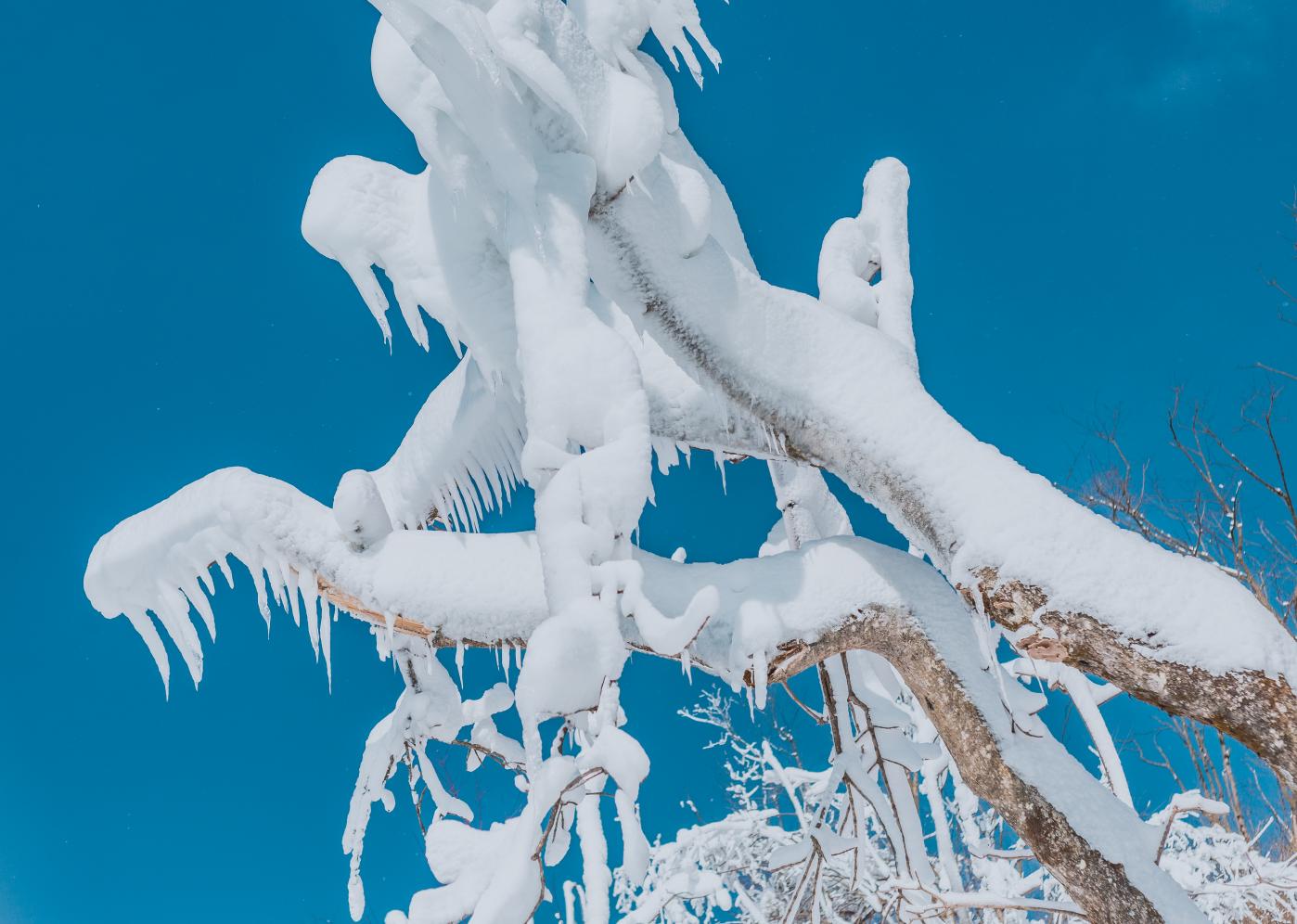 2024年的第一场旅行，藏在羌山的白雪皑皑里