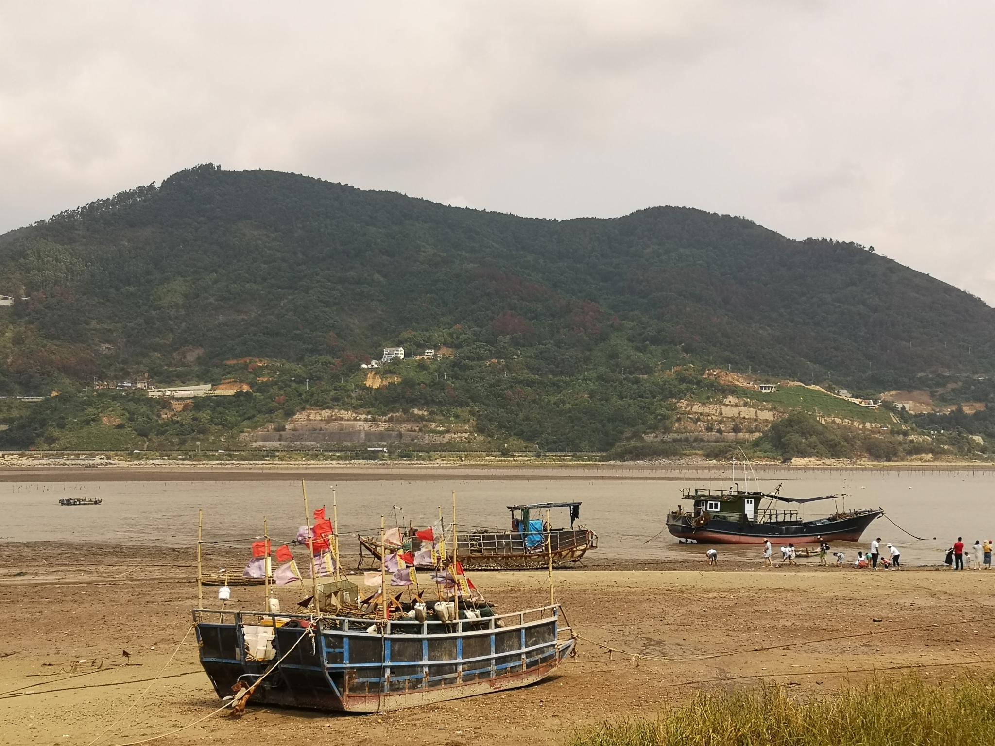 霞浦北岐杨家溪小皓