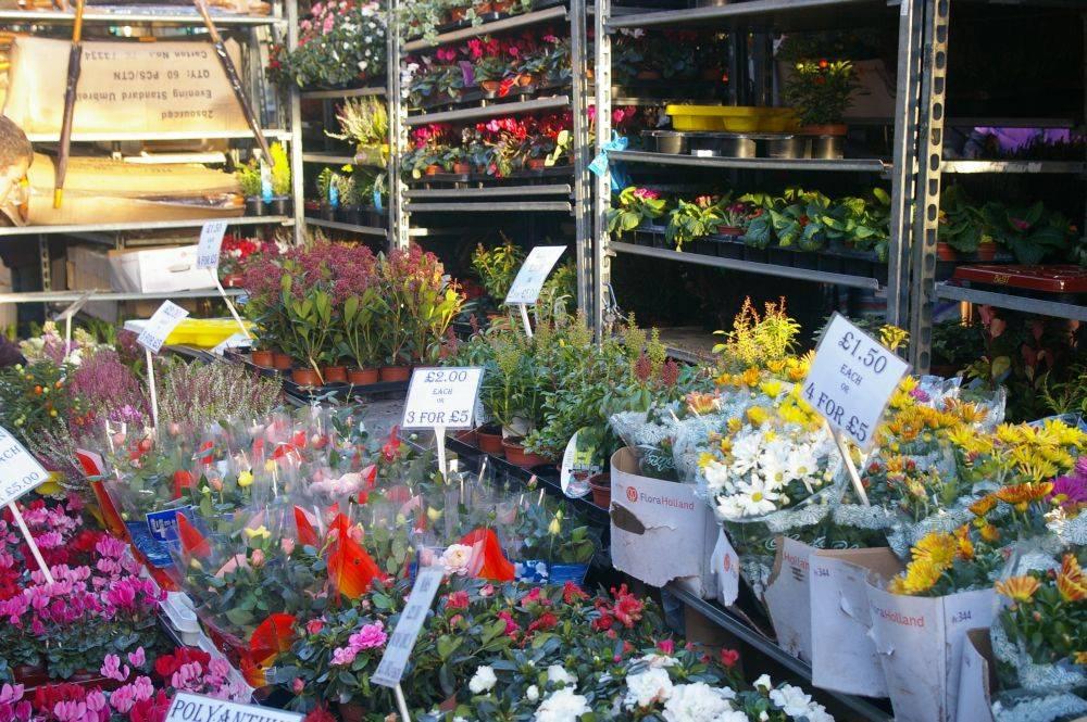 哥伦比亚街花卉市场