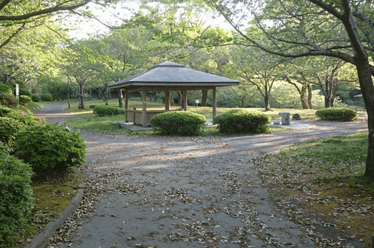 Tagayama Park旅游景点图片