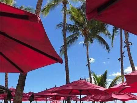 夏威夷皇家酒店迈泰酒吧旅游景点图片