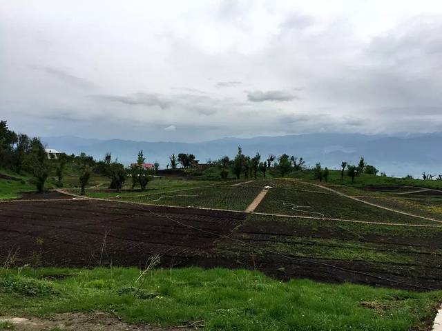 野果林风景旅游区