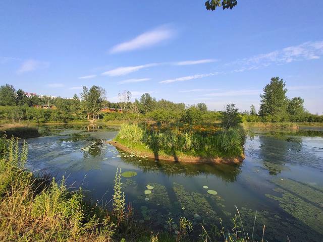 沙河国家湿地公园
