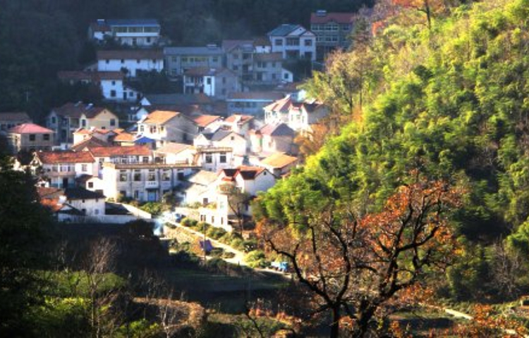 天荒坪镇大溪村