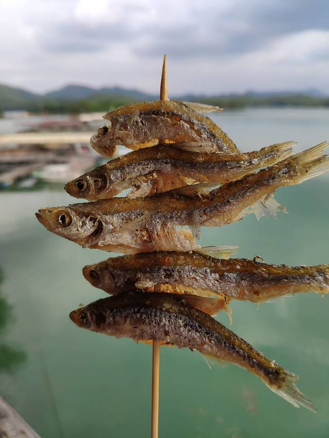 万绿湖水月湾旅游区