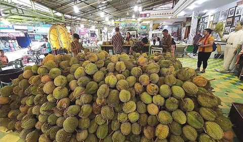 Durian Ucok Tanjung