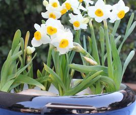 中国舟山国际水产城