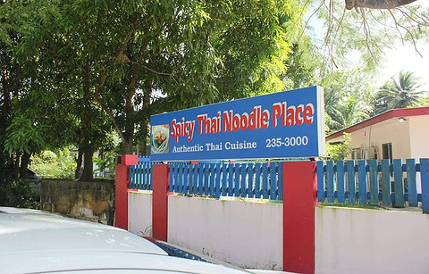 Spicy Thai Noodle Place的图片