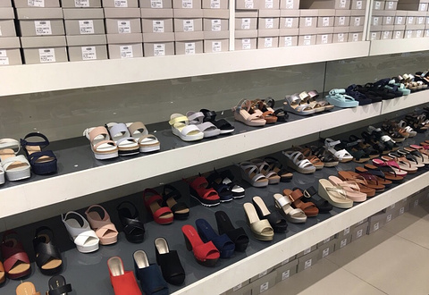 Vincci