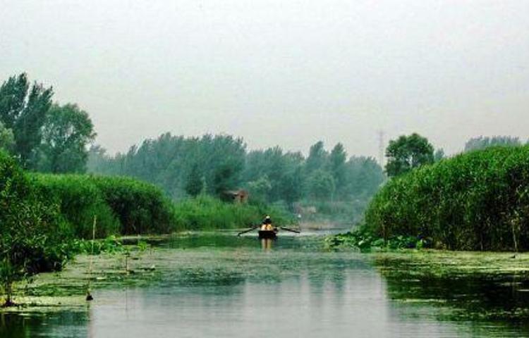 荷花淀休闲岛