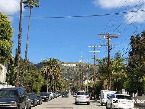 好莱坞山旅游景点图片