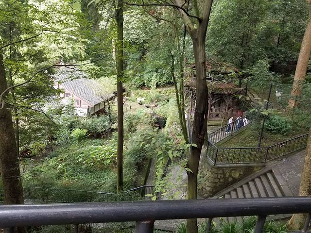 四姑娘山牦牛肉面馆