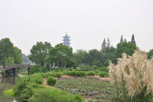 乌镇西栅景区-北湿地