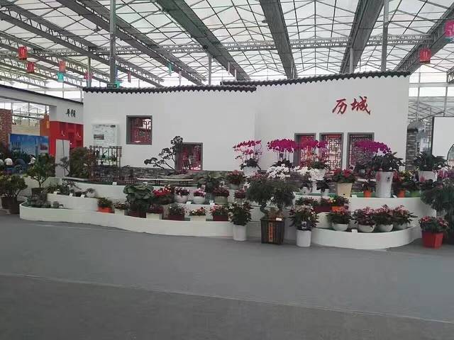 商河花卉苗木大世界(济南花卉园艺博览会)