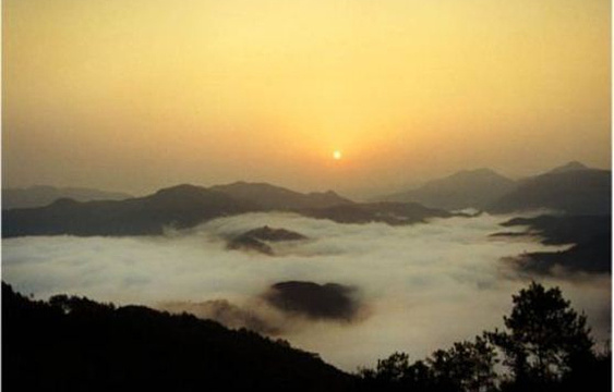 九龙山国家级自然保护区旅游景点图片
