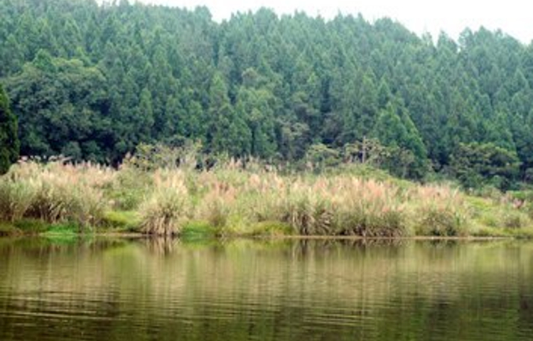 五凤山森林公园