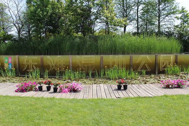 上海崇明东滩鸟类国家级自然保护区