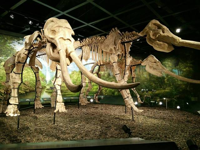 三峡移民纪念馆