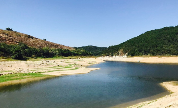 21大帽山三角梅园 旅游攻略 门票 地址 问答 游记点评 厦门旅游旅游景点推荐 去哪儿攻略