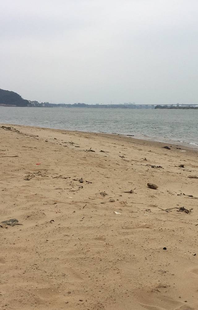 企石镇江滨公园