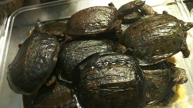 郭师傅饺子店(经一路店)