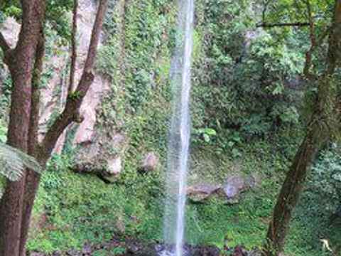 Katibawasan Falls旅游景点图片