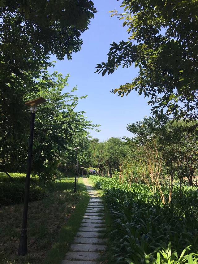 新城湖泊公园