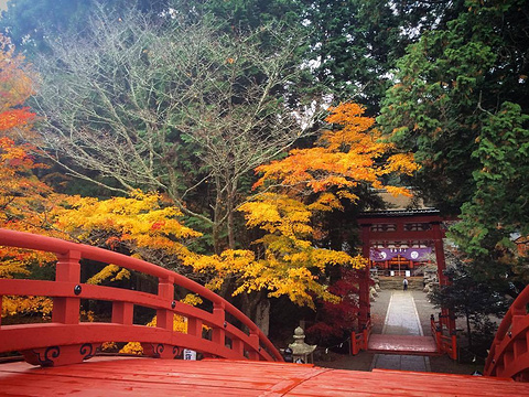 丹生都比卖神社旅游景点图片