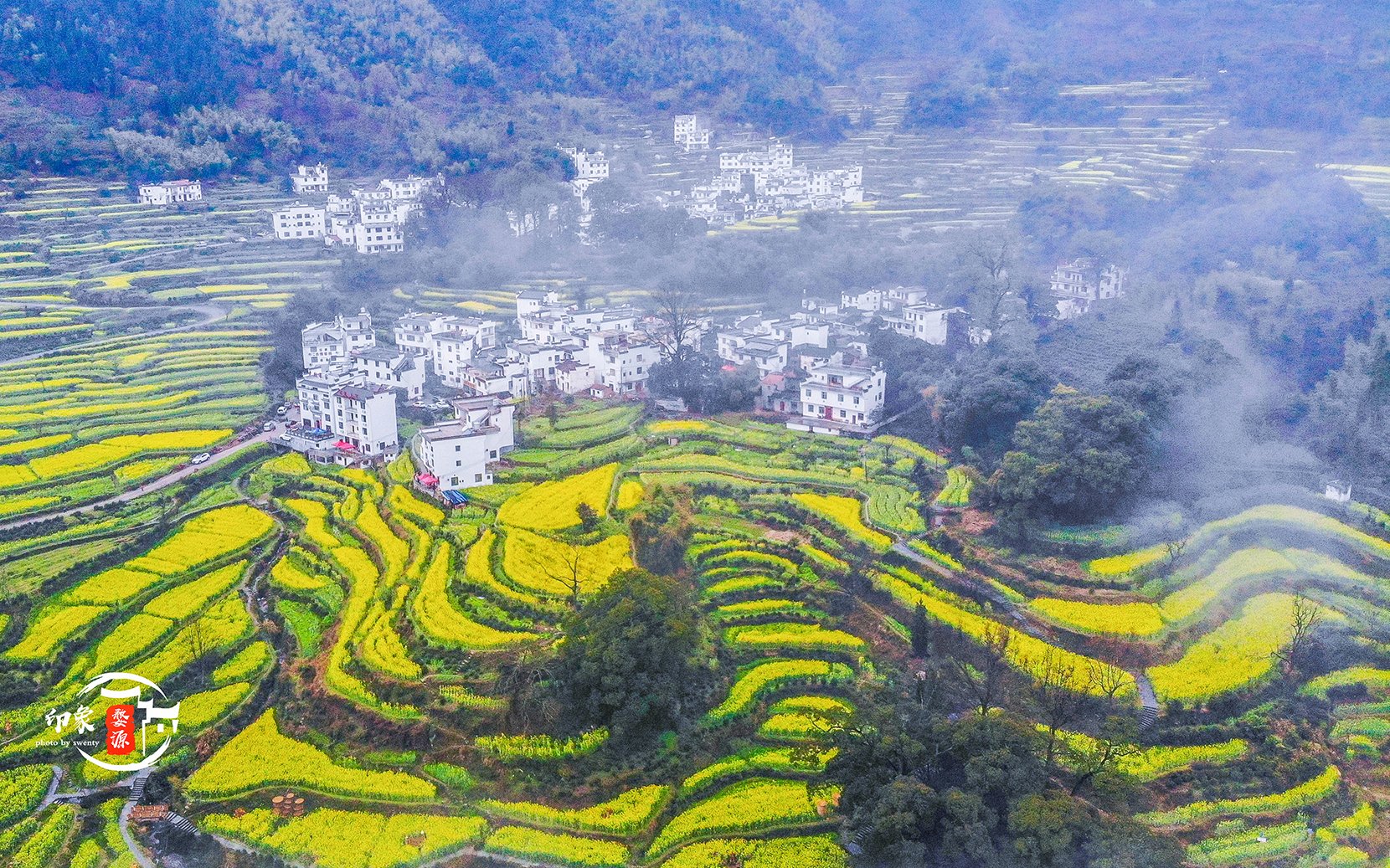 看遍婺源油菜花田