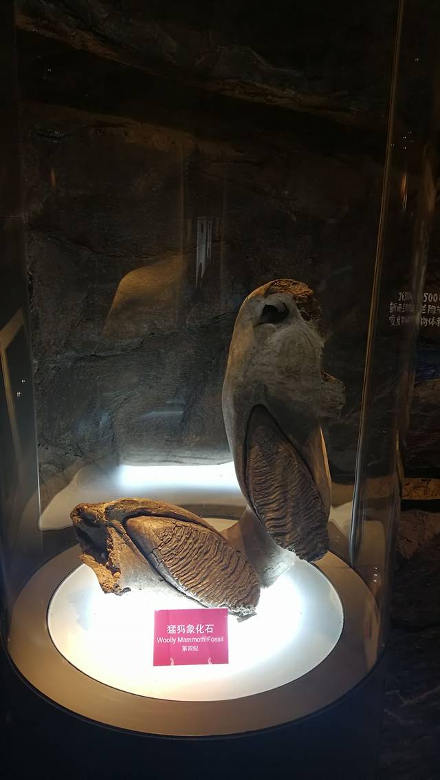 阿尔山联合国教科文组织世界地质公园博物馆