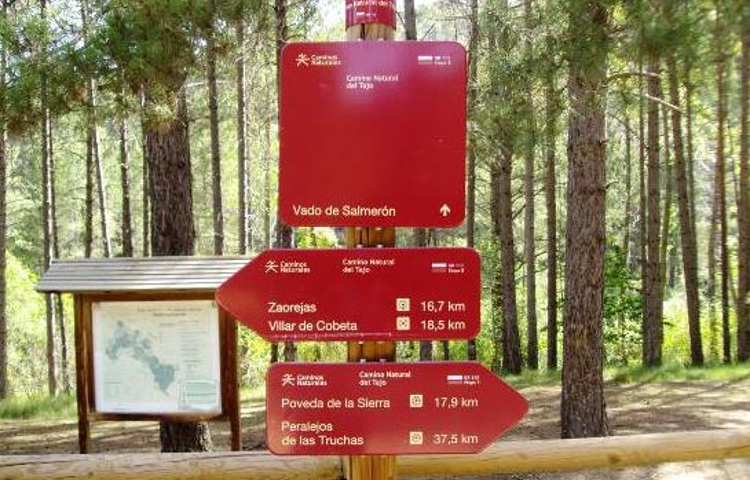 Parque Natural del Alto Tajo