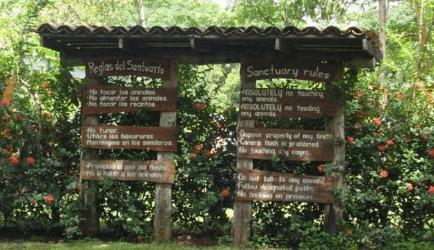 Macaw Sanctuary Natuwa旅游景点图片