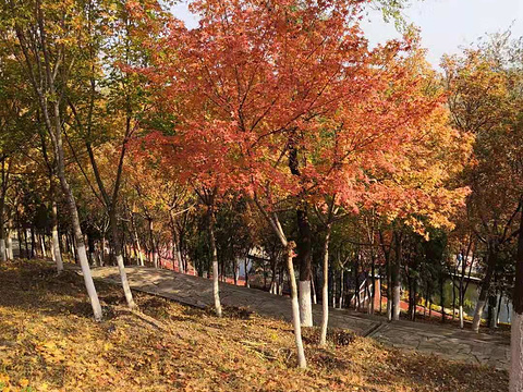 文祥湖公园旅游景点图片