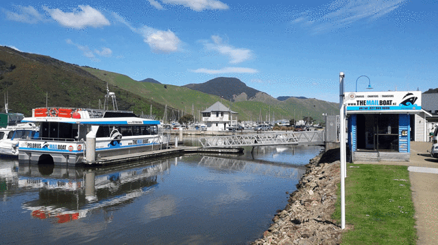 Pelorus Mail Boat