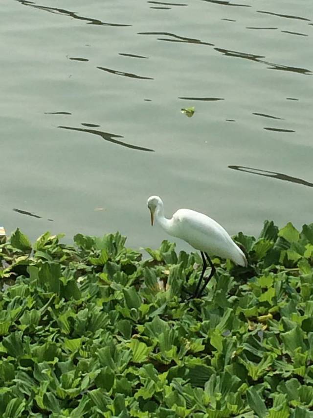 硚口民族工业博物馆