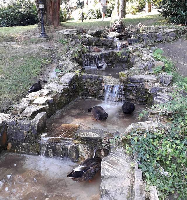 弗尔尼亚奇卡矿泉镇