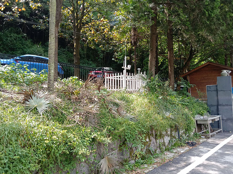 贵州省植物园旅游景点图片