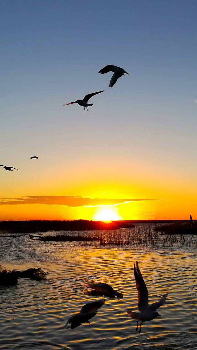 庆丰包子铺(金沟河桥店)
