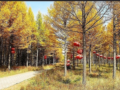 尚海纪念林的图片