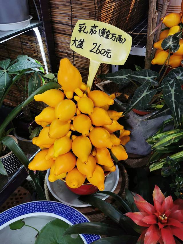 朵唯花艺(滨湖万达精品店)