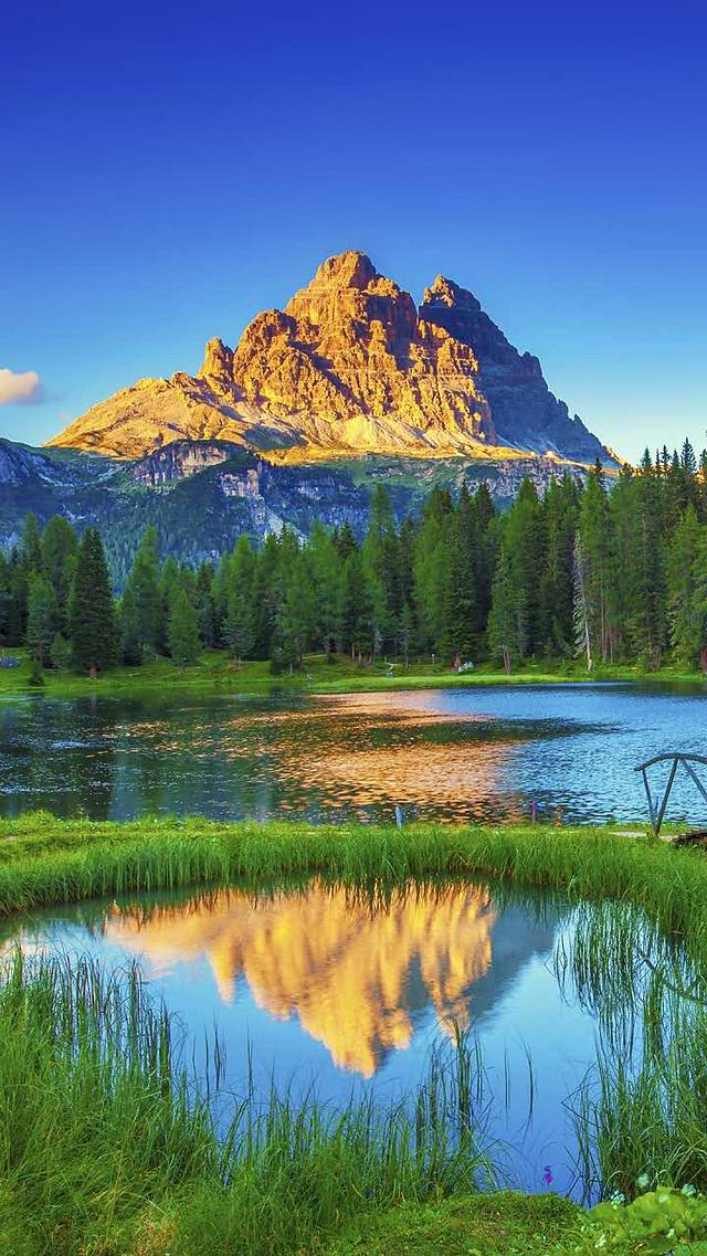 火上二师兄(纱帽河店)