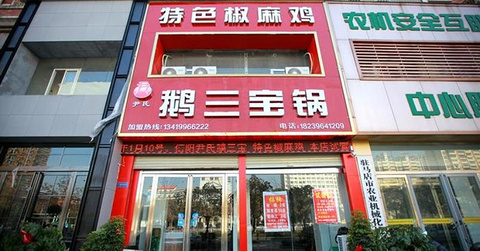 鹅三宝锅(置地大道店)的图片